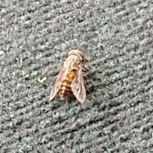 Meet your Posher, Quentin